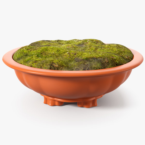 3D model wide shallow flower pot
