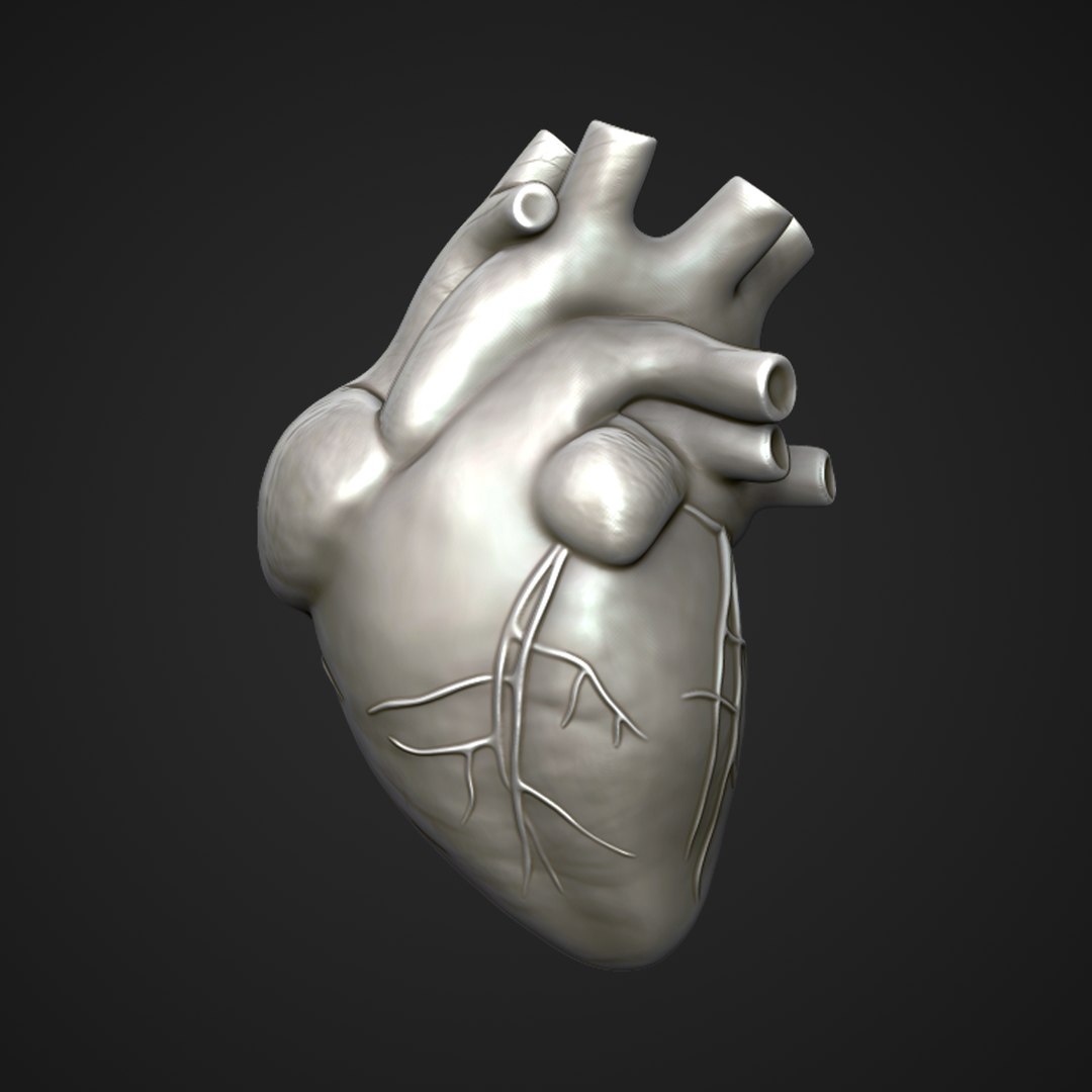 heart shape obj zbrush