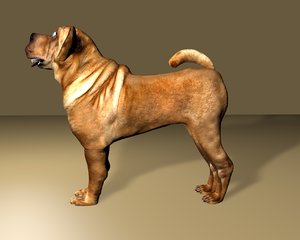 3D model dog