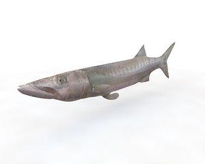 3D fish