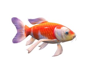 fish 3D model
