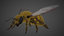 honey bee 3D