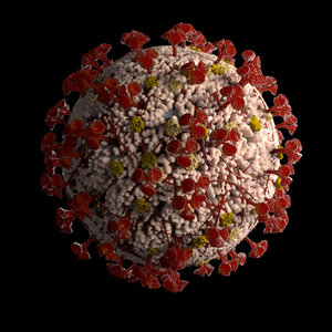coronavirus realistic virus corona 3D model