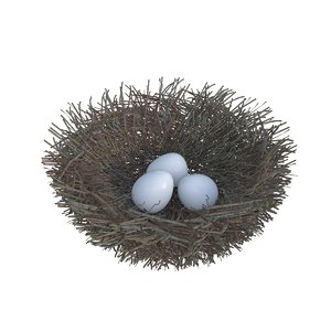 3D bird nest egg