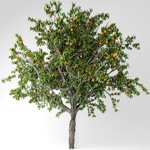3D peach tree