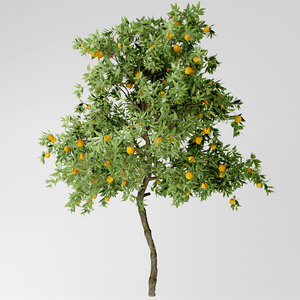 3D orange tree model