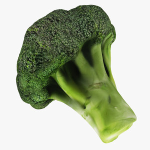 broccoli 3D model