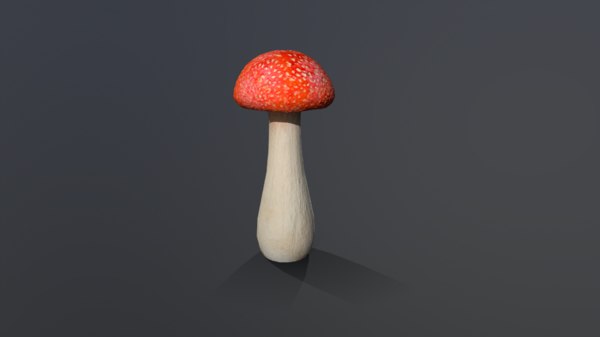 3d red mushroom