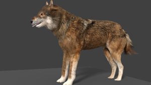 3D model wolf