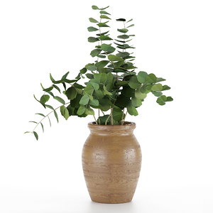 3D model vase eucalyptus
