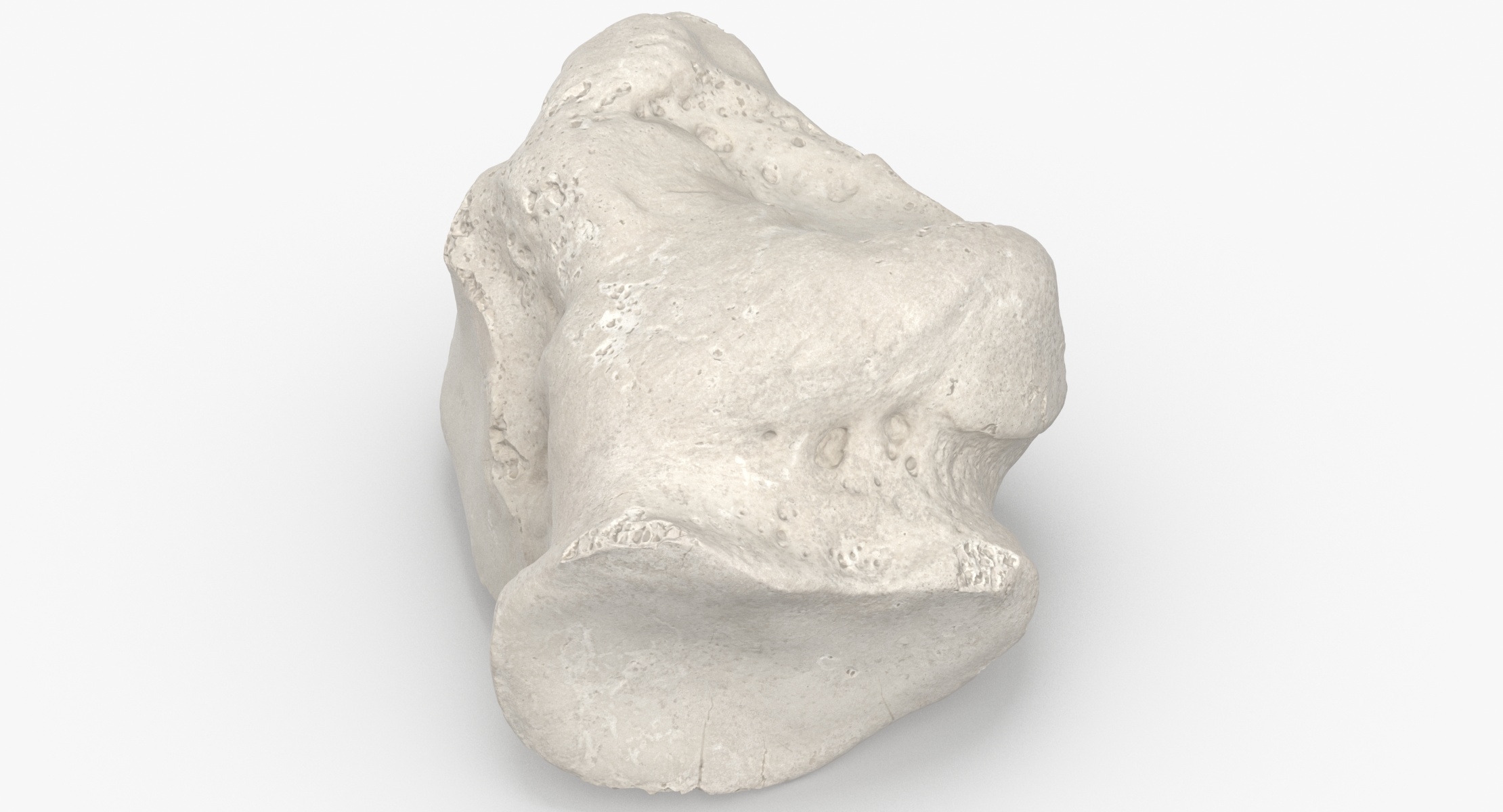 Cuboid bone 01 white model - TurboSquid 1553732