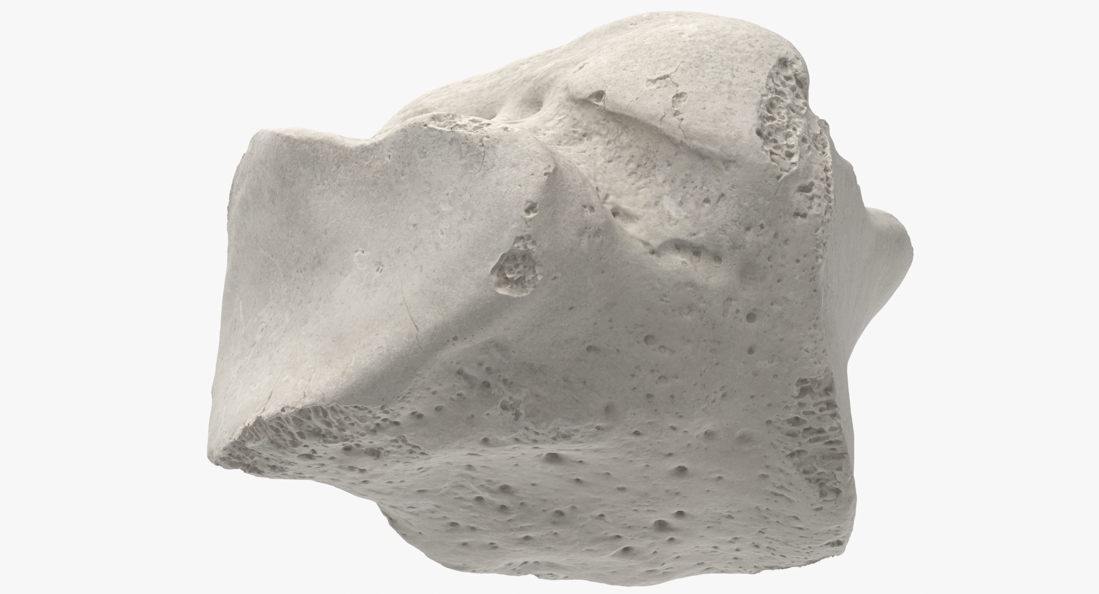 Cuboid bone 01 white model - TurboSquid 1553732