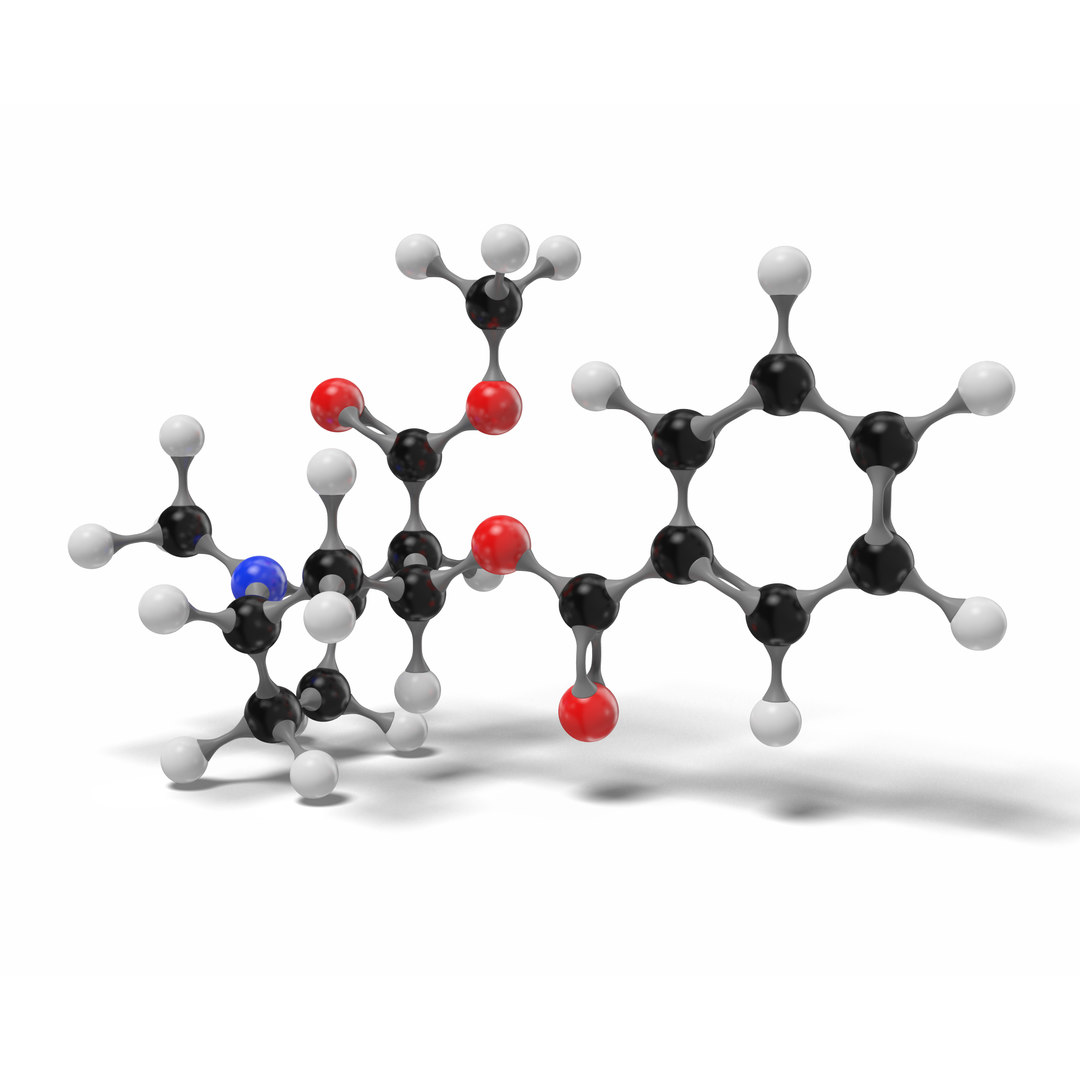 Cocaine c17h21no4 modeled 3D model TurboSquid 1553717