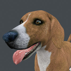 Модельки персонажей собак. Собака в 3 д макс. Малинуа собака. Собака stl. 3d модель собаки.