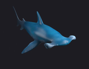 3D man-eating sharks sea killers