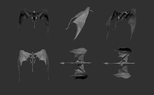 dragon used appearance 3D model