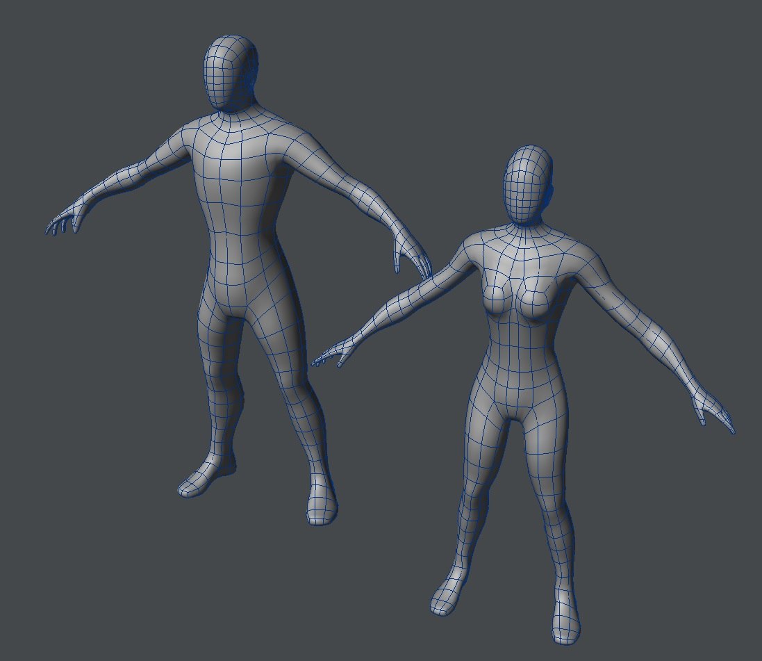 Base Mesh Male Female 3d Turbosquid 1555482 4230