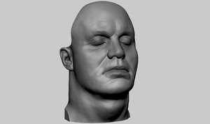 face anatomy 3D model