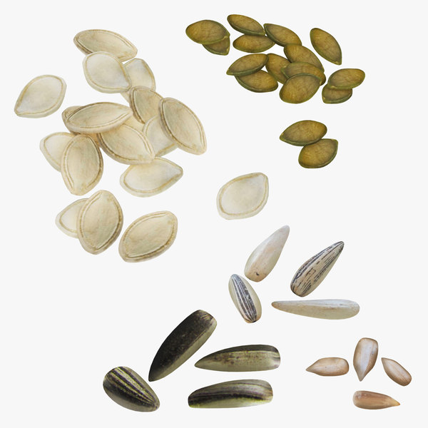Pumpkin Sunflower Seed Model Turbosquid 1556382