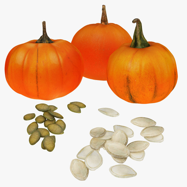 Pumpkin Seeds 3d Model Turbosquid 1556458