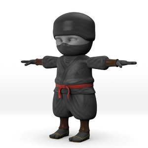 3D ninja