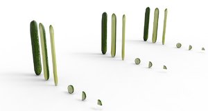 cucumber long 3D model