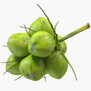 green coconut cluster 3D model