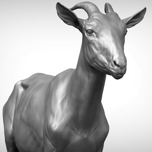 3D goat v2