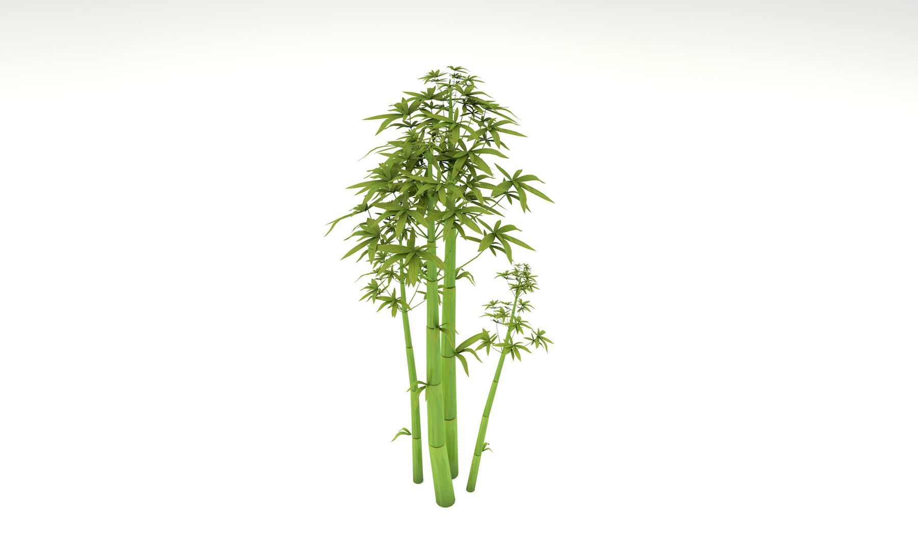 3D cartoon bamboo trees - TurboSquid 1557861