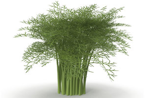3D sprout salad vegetable model