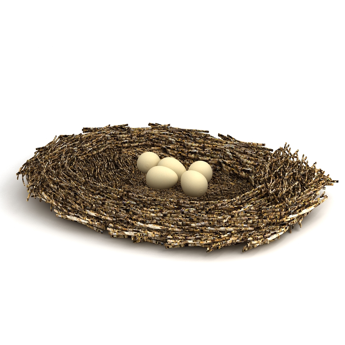 bird nest with eggs3d模型