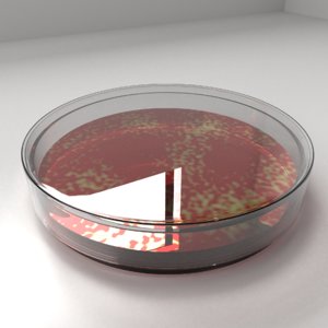 glass petri dish agar 3D