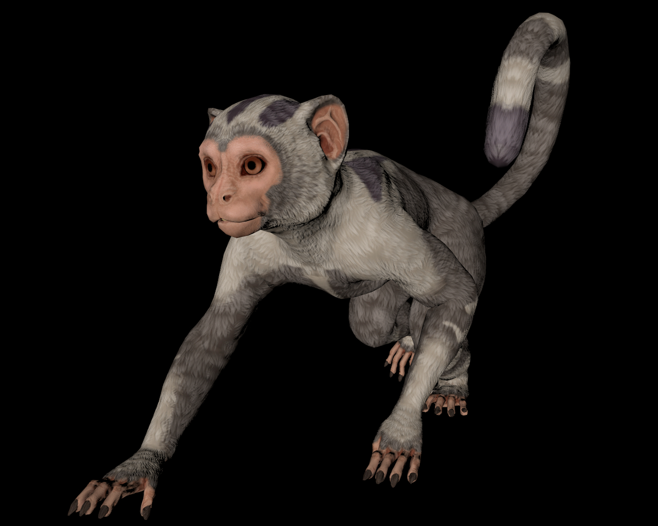 Monkey animal 3D - TurboSquid 1559457