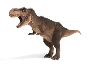 3D tyrannosaurus rex fur