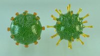 3D model corona virus