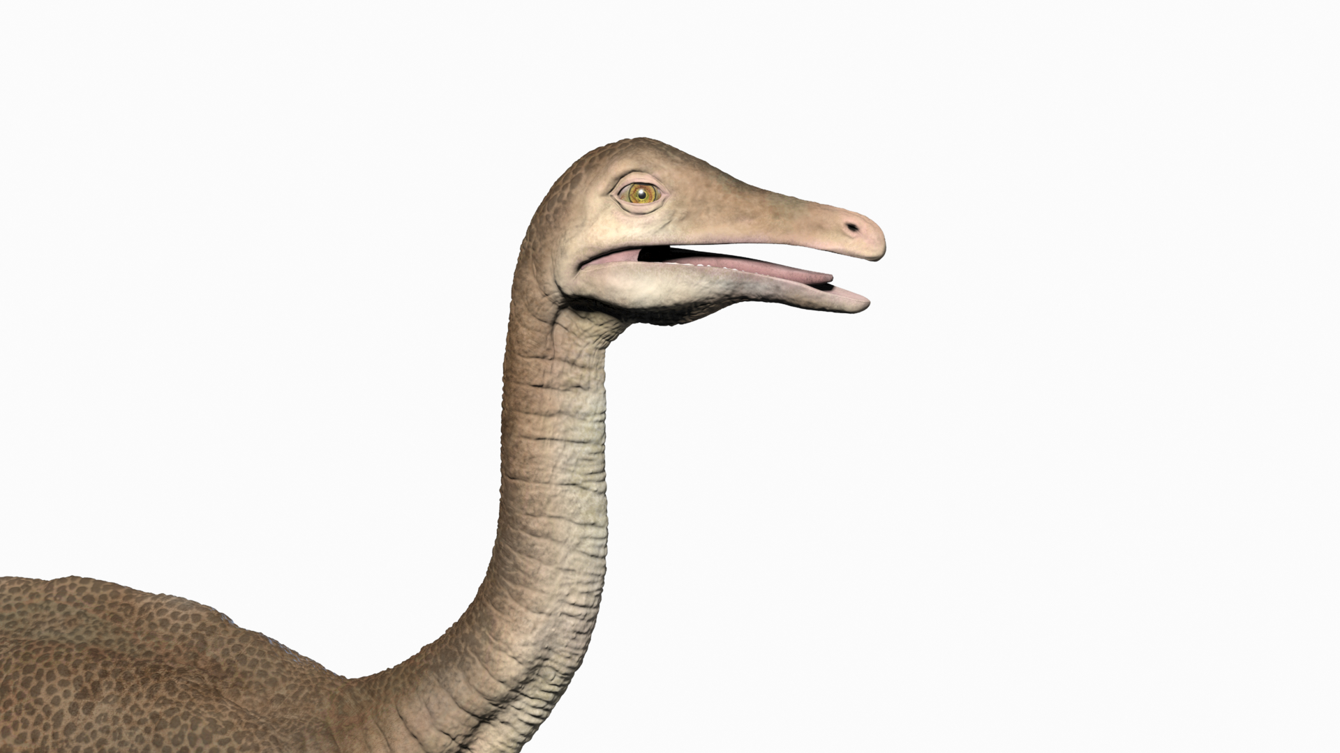 struthiomimus dinosaur