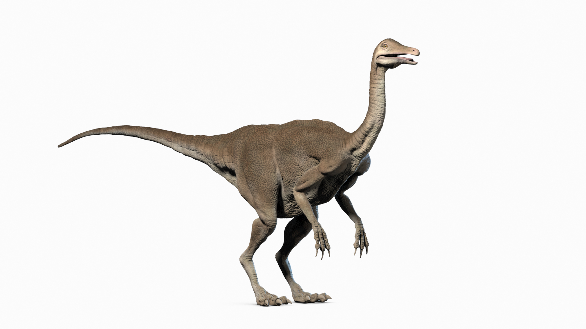 struthiomimus dinosaur