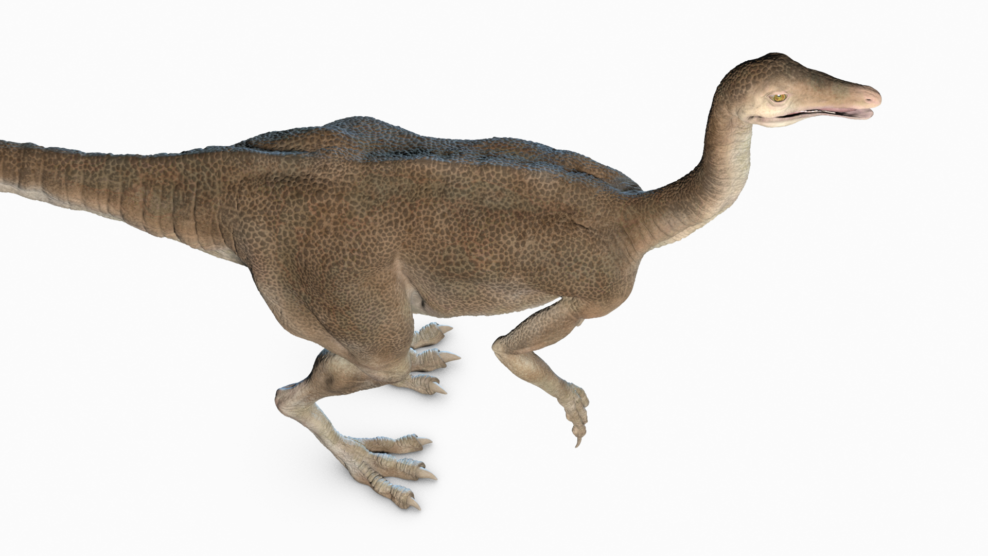 struthiomimus dinosaur