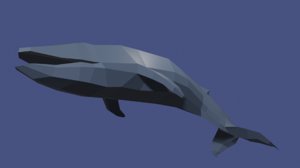 whale swimming animation model