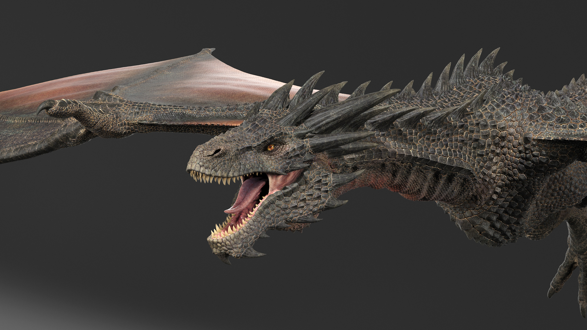 Dragon rig black 3D - TurboSquid 1561049