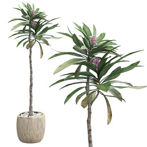 3D potted plant 26