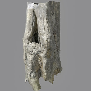 3D gnarly tree trunk