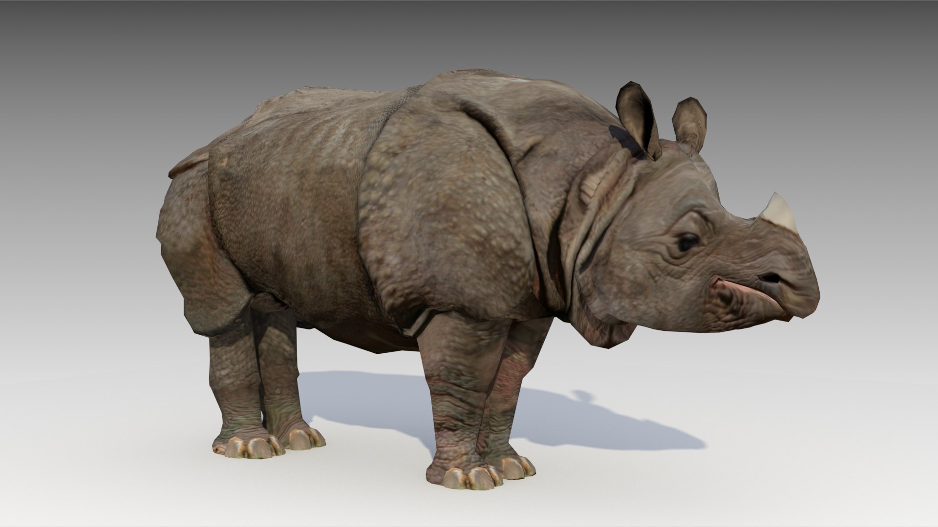 rhinoceros 3d free download