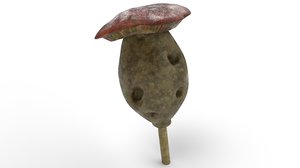 3D plants mushrooms fungus model