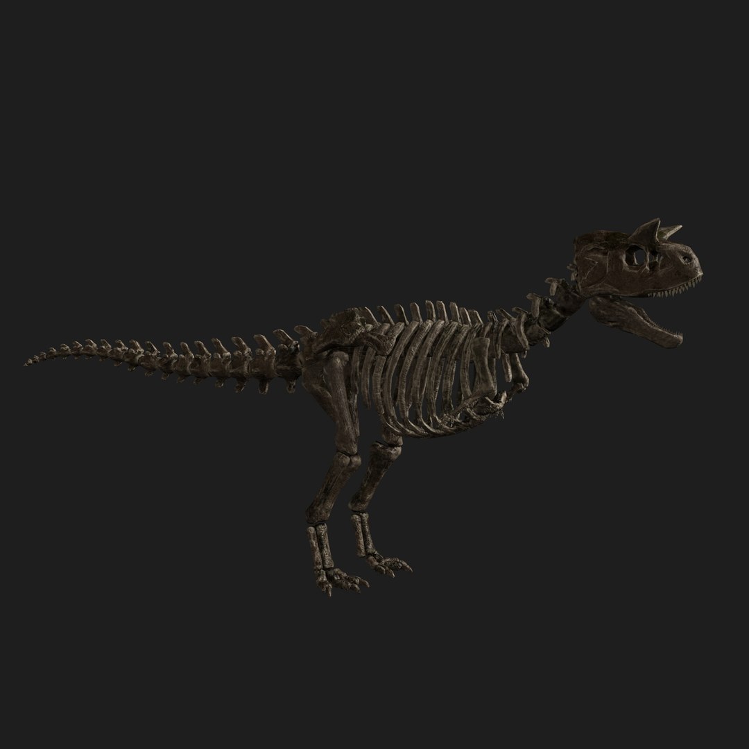 3D rigged carnotaurus skeleton - TurboSquid 1562487