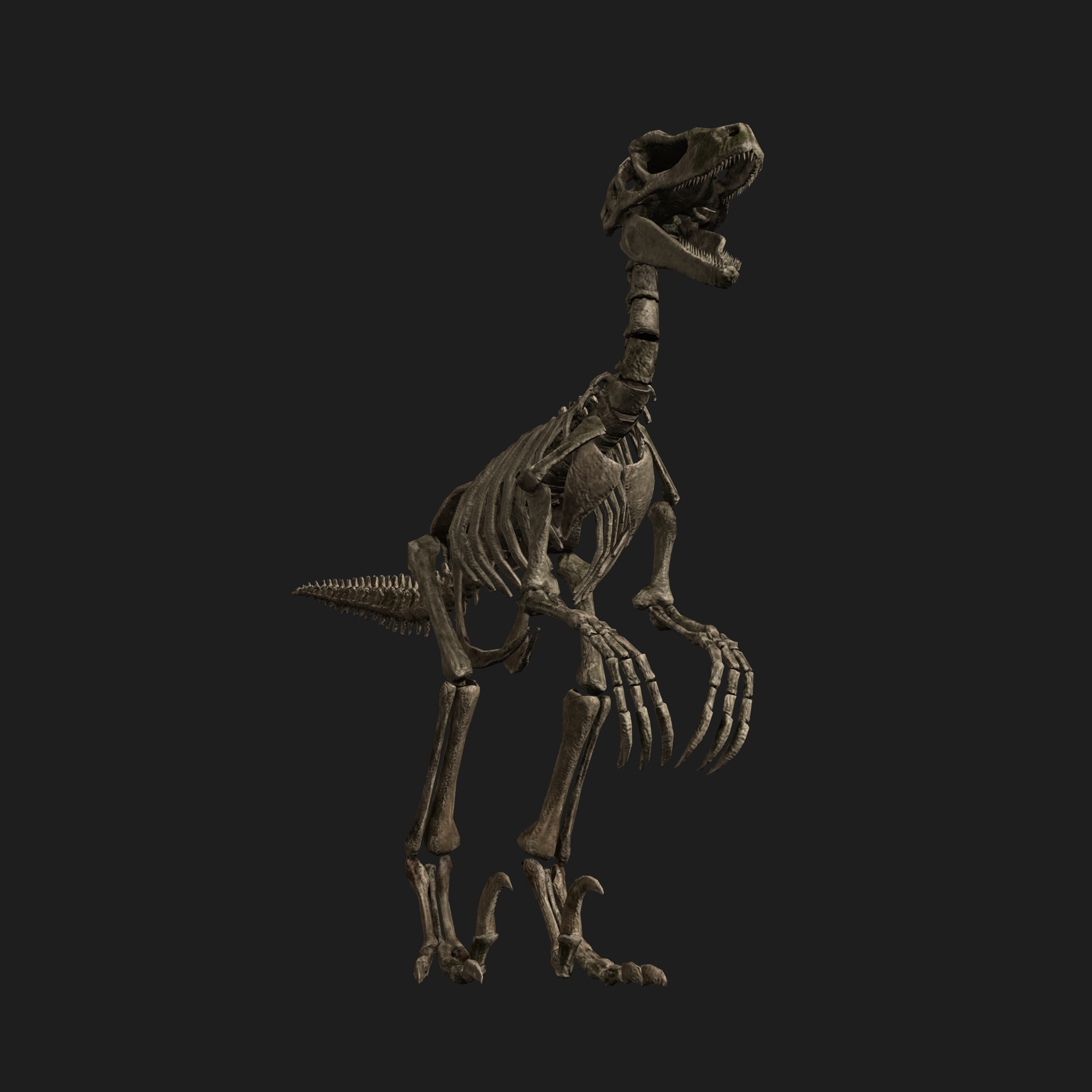 jurassic park raptor skeleton