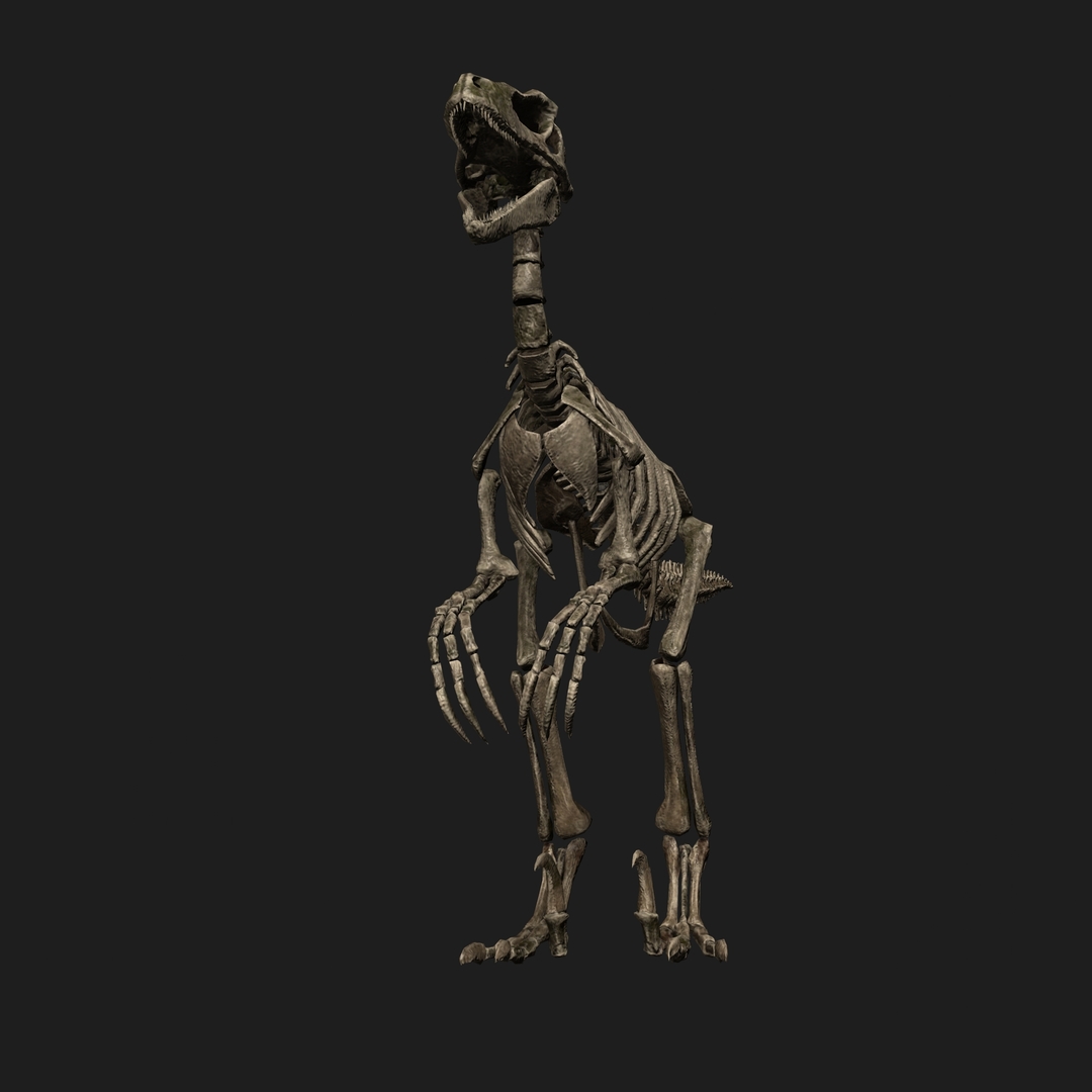 raptor skeleton jurassic park