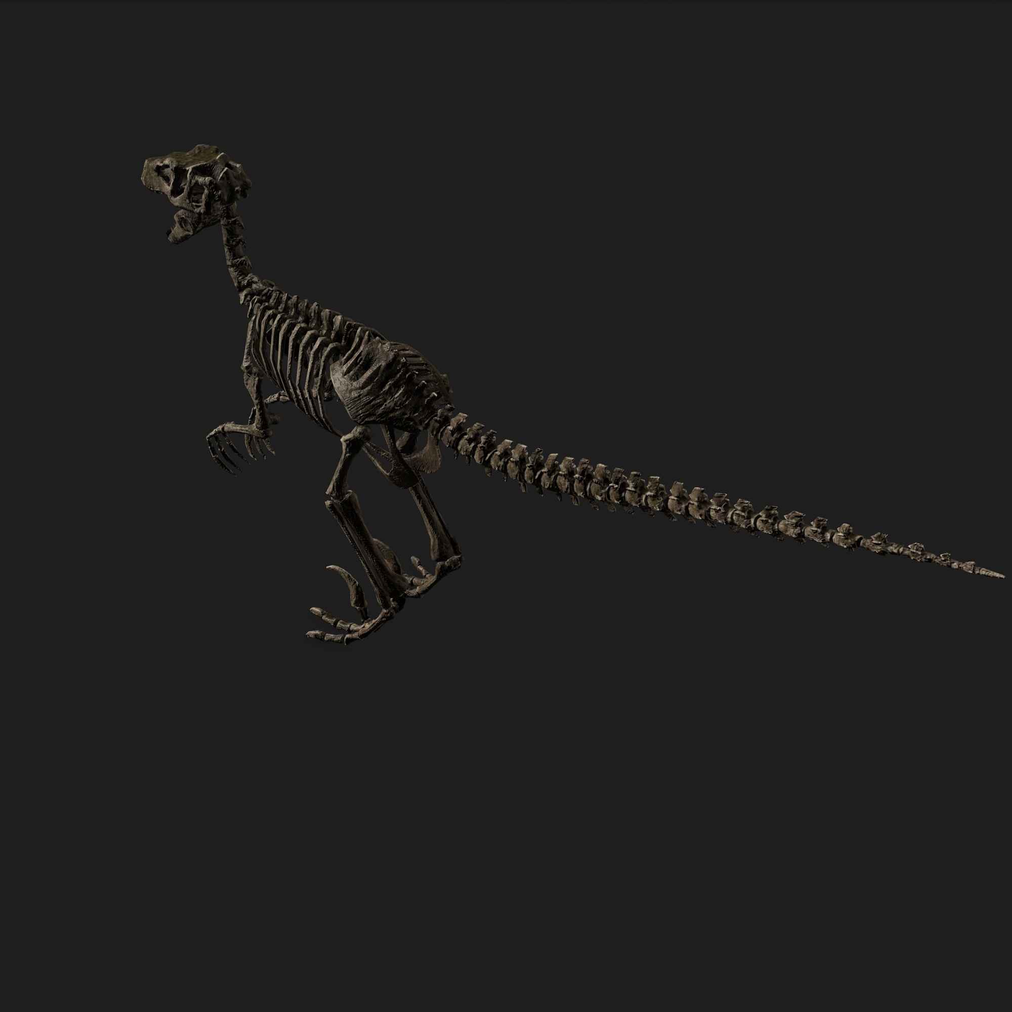 jurassic park raptor skeleton