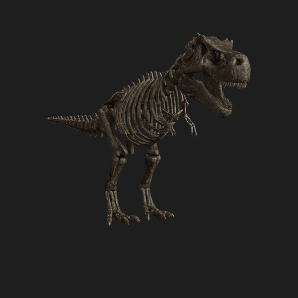 3d Rigged T Rex Skeleton Turbosquid 1562523 - rigged tyrannosaurus rex skeleton in roblox