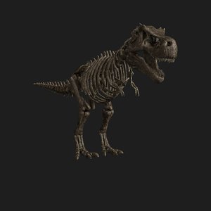t rex skeleton 3d model